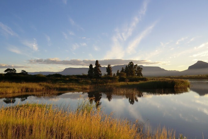 South African Scene